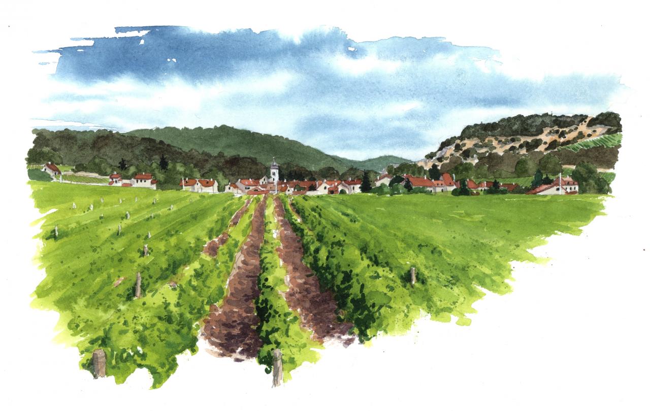 Atelier carnet rêvé de vignes et de vignoble